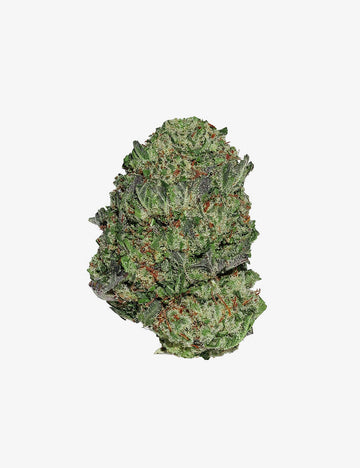 Master Kush CBD