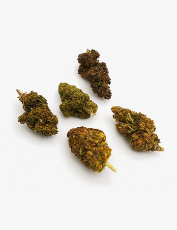 Entdeckungsset CBD-Blüten