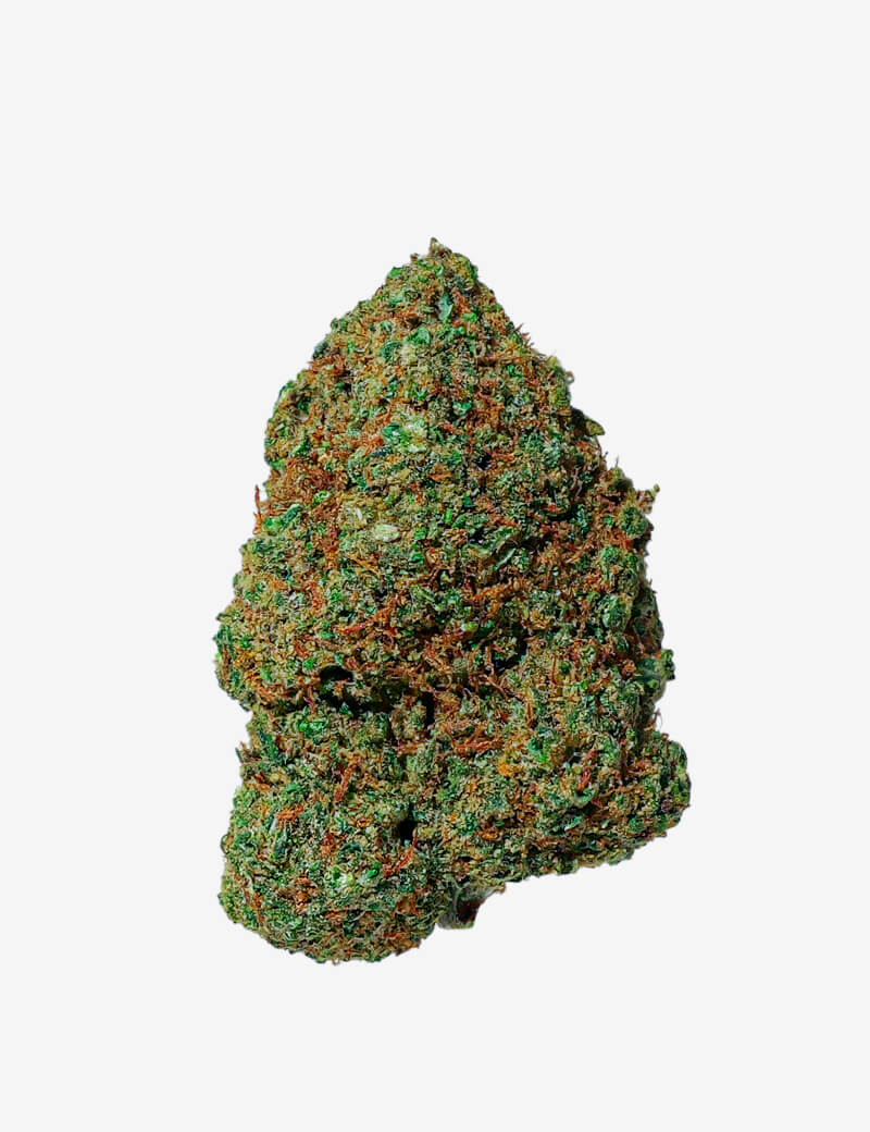 Amnesia 2.0 CBD